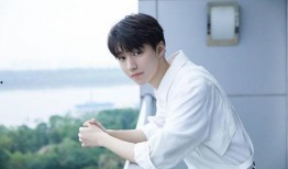 王海鑫爆料王俊凯视频,事件背后真相揭秘